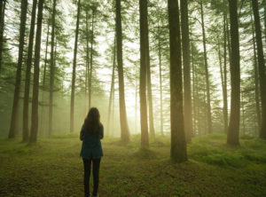 Outdoor silhouette image of a girl standing alone in pine forest